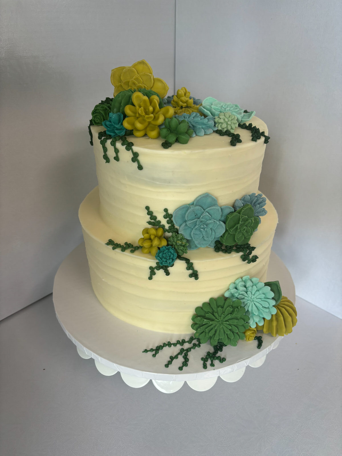 succulents 2 tier